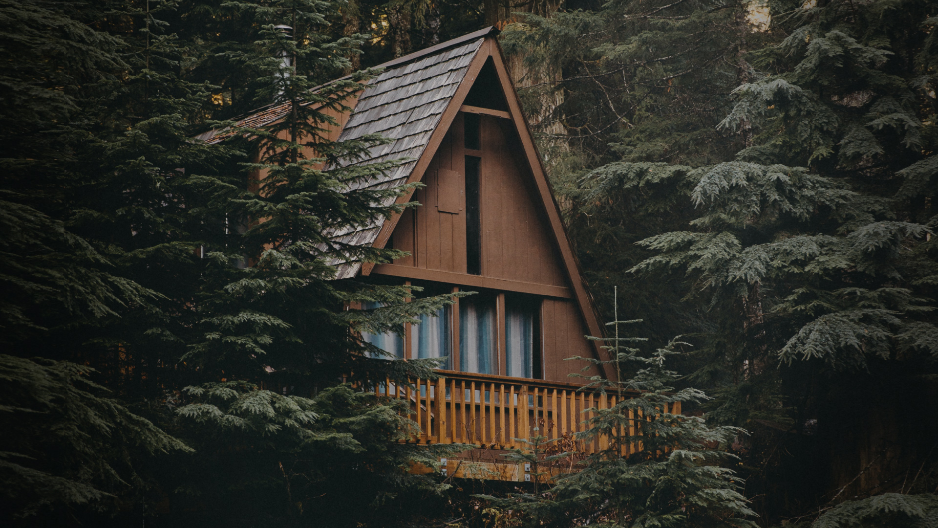 CRCLS Motion Video Placeholder